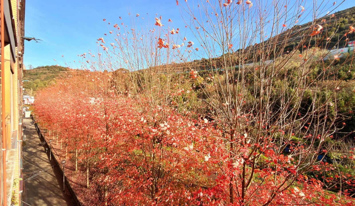 AmereBilbaopisosventaBasurtovaloracionpisoCalleOrixe22