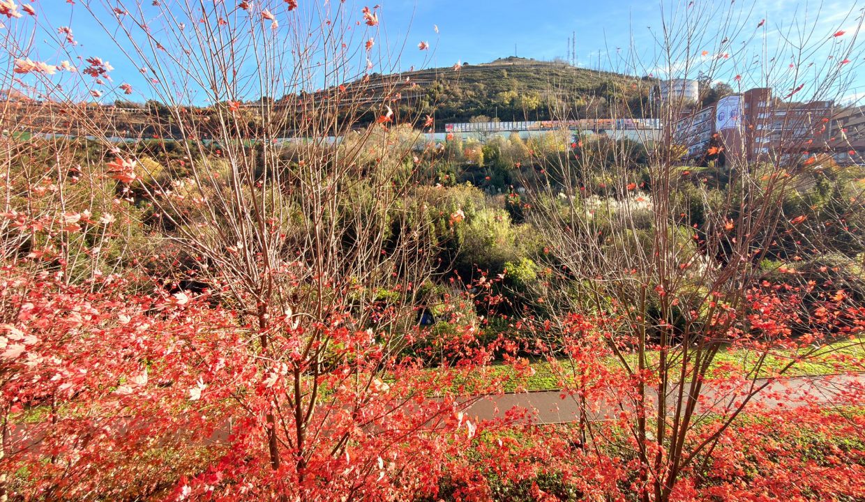 AmereBilbaopisosventaBasurtovaloracionpisoCalleOrixe22